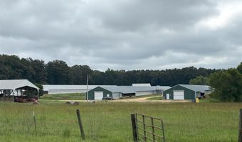 1613 N Bradley 8 Rd, Banks, AR 71631