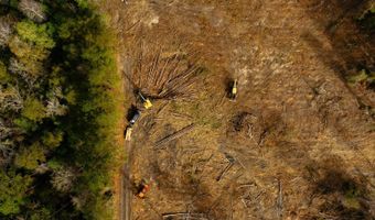 US Hwy 98, Beaumont, MS 39423