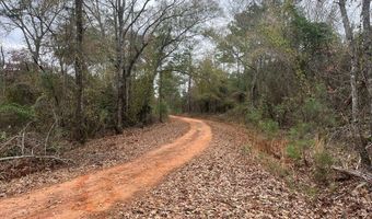 TBD County Road 86, Abbeville, AL 36310