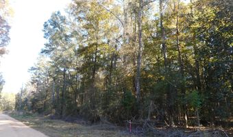 E-S Drive, Braxton, MS 39044