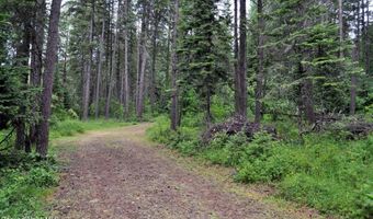 60317 Highway 200, Clark Fork, ID 83811