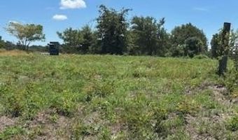 Tbd County Road 185, Anderson, TX 77830