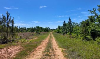 County Road 38, Autaugaville, AL 36003