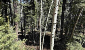 Santo Domingo Trl lot 716, Angel Fire, NM 87710
