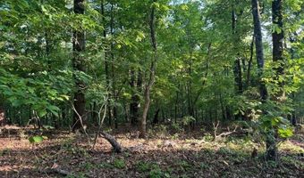 0 DAVIS ACRES Dr 72 & 73, Alpine, AL 35014