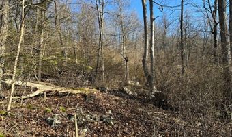 43 Hemlock Ave, Andover, NJ 07860