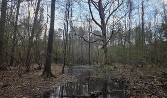 U.S. Highway 51, Bogue Chitto, MS 39629