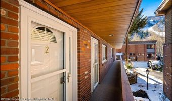 805 E Cooper Ave 12, Aspen, CO 81611