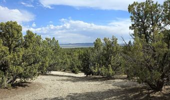 816 Hamilton Stage Rd, Elko, NV 89801