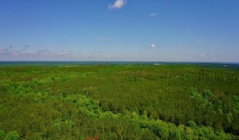 0 Pebble Cove Rd, Abbeville, AL 36310