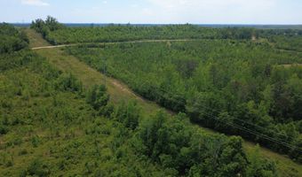 Tucker Road lot 9, Bath Springs, TN 38311