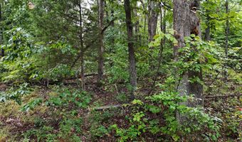 County Road Jj-416, Ava, MO 65608