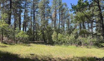 216 Fawn Dr, Bayfield, CO 81122