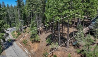 1955 Seminole Way, Arnold, CA 95223