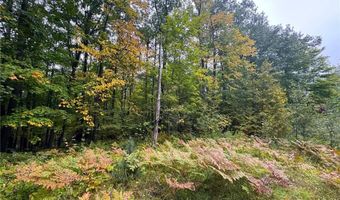 34 Xxx 80ac 298th St, Aitkin, MN 56431