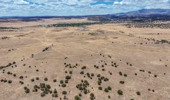 New Mexico 246, Capitan, NM 88316