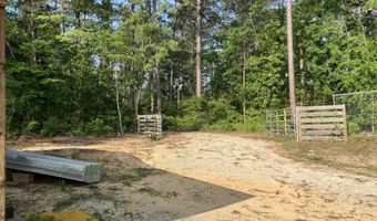 40 Acres Forestry Road 356, Beaumont, MS 39423