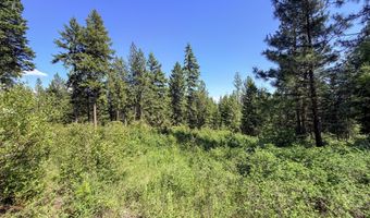 2008- TBD LOT K SUMMIT VALLEY Rd, Addy, WA 99101