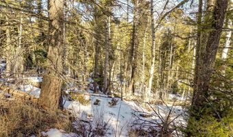 45 Sacramento Dr, Angel Fire, NM 87710