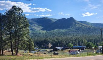 54 1st N St, Alpine, AZ 85920