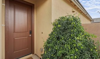 590 Calle Calca, Sahuarita, AZ 85629