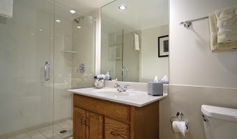 301 E Hyman Avenue Unit # 204 Wks 2 38 46 #204 (Wks 2,38,46), Aspen, CO 81611