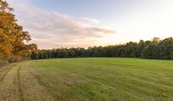 100 Acres Harmony Church Rd, Andalusia, AL 36421