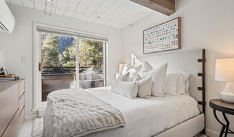 1024 E Cooper Ave 1, Aspen, CO 81611