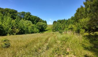 County Road 38, Autaugaville, AL 36003