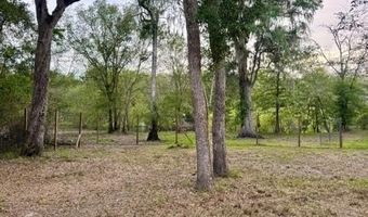 1109 NW 78th Ave, Bell, FL 32619