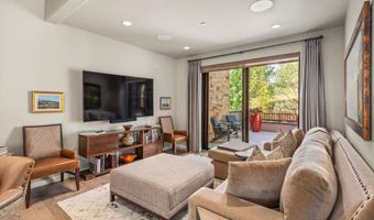 102 Wild Spring Ln, Basalt, CO 81621