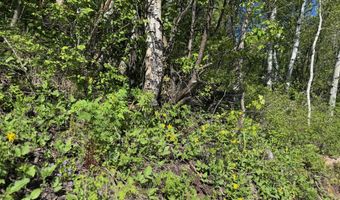3600 Bear Paw Ln, Glenwood Springs, CO 81601