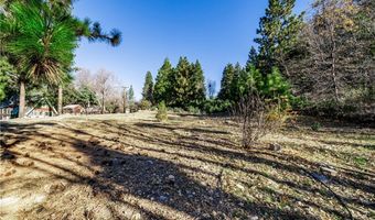 6031 Tripp, Angelus Oaks, CA 92305