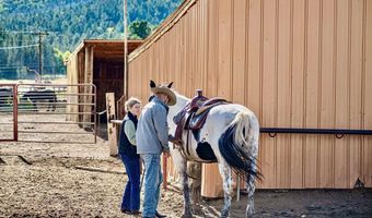 27502 US Highway 64 Roadrunner Tours, Angel Fire, NM 87710