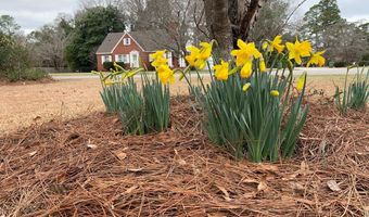 111 Ellen St, Bishopville, SC 29010