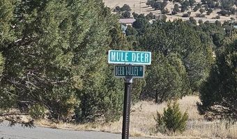 Deer Valley Drive 4, Alto, NM 88312