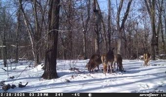 TBD Wilderness WY, Anderson, MO 64831
