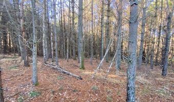 Tbd Oak Grove Rd, Austinville, VA 24312