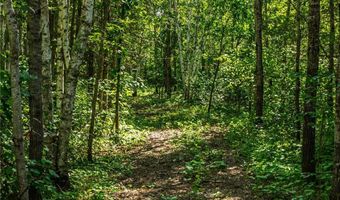 Tbd 240th Street, Akeley, MN 56433