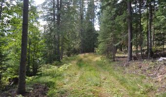 Nna 196 Acres Hwy 95, Bonners Ferry, ID 83805
