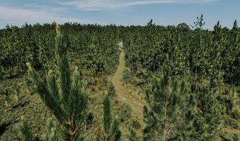 604 Charles Booker Rd, Baker, FL 32531