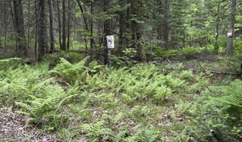 22 Monument Rd, Abbot, ME 04406
