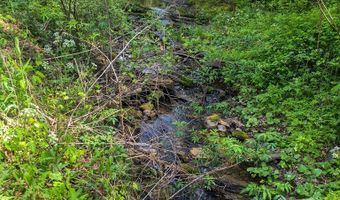 2789 Dry Fork Rd, Bandy, VA 24602
