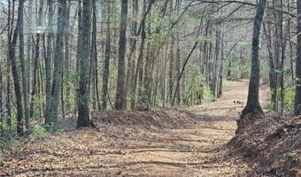 1827 Willis Gap Rd 104, Ararat, VA 24053