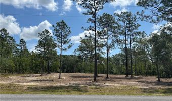 Tbd SE 128TH AVENUE, Dunnellon, FL 34431