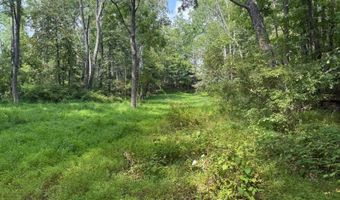 31 Mulford Rd, Andover, NJ 07848