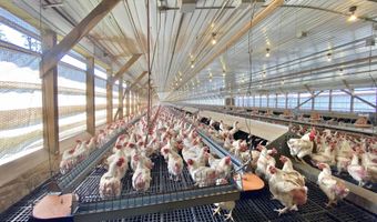 527 Offutt School Rd, Augusta, WV 26704