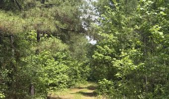 452 Tram Rd, Cades, SC 29518