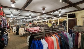 408 E Cooper Ave, Aspen, CO 81611