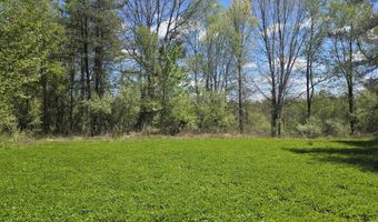 15252 27 Mile Rd, Albion, MI 49224